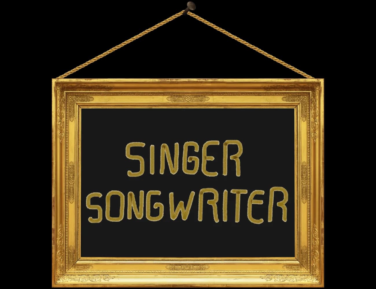 Singer Songwriter